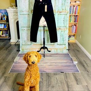 💕🐶Chewie says Happy Poshing!!! 🐩 🥰🤗💗